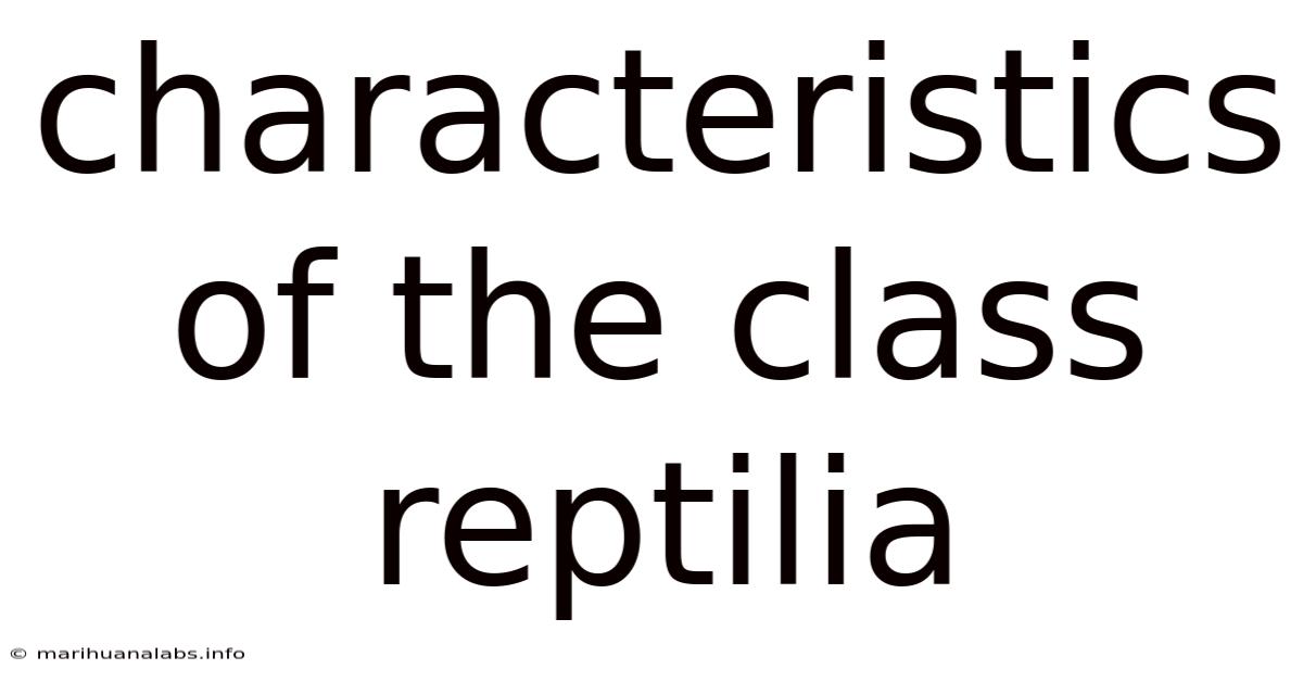 Characteristics Of The Class Reptilia