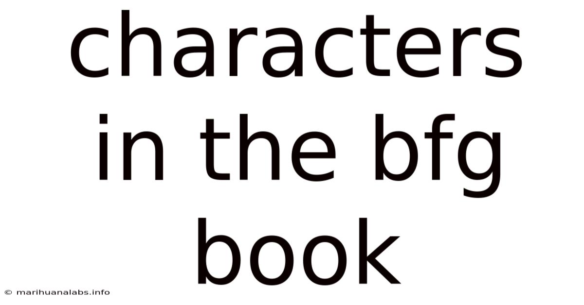 Characters In The Bfg Book