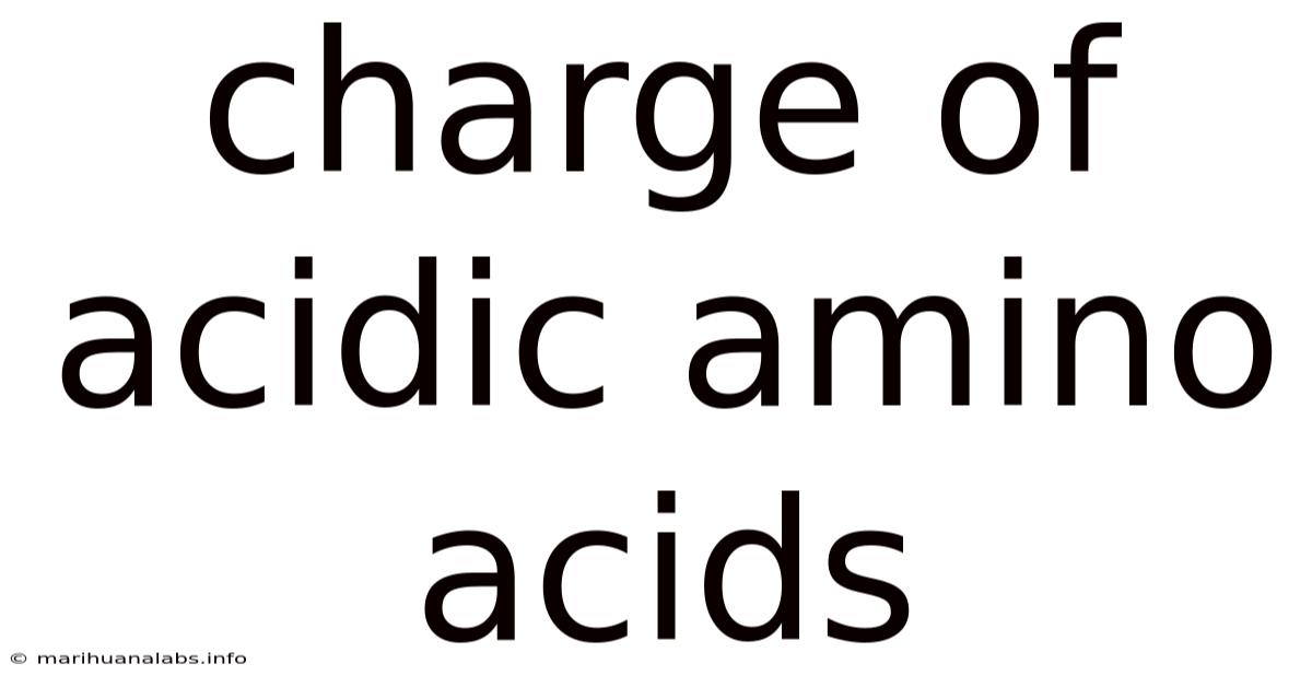 Charge Of Acidic Amino Acids