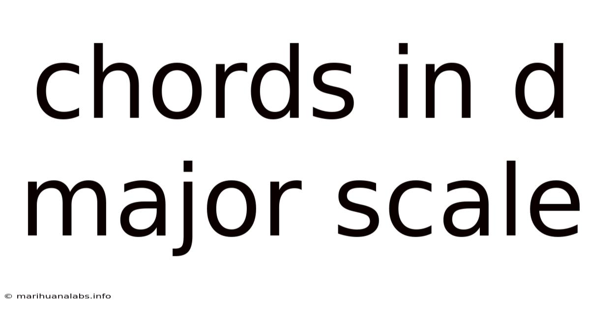 Chords In D Major Scale