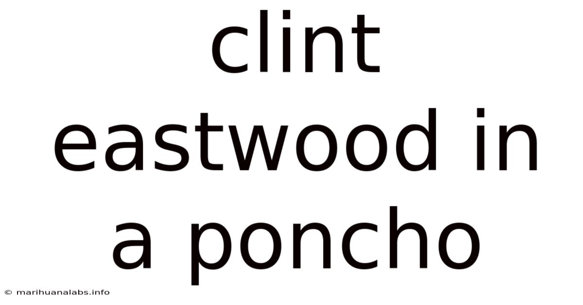 Clint Eastwood In A Poncho