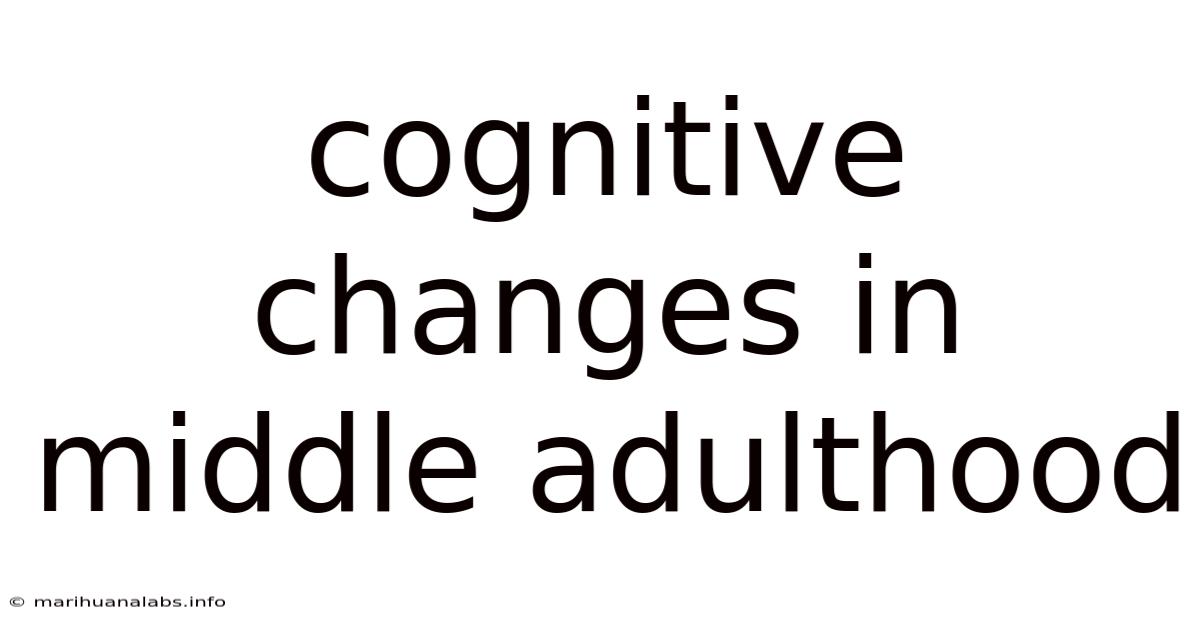 Cognitive Changes In Middle Adulthood