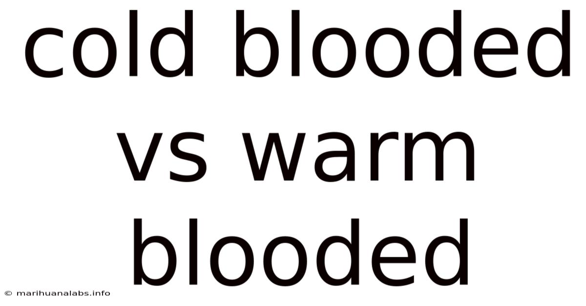 Cold Blooded Vs Warm Blooded