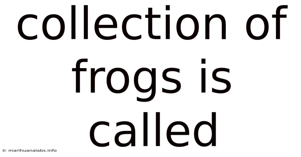 Collection Of Frogs Is Called