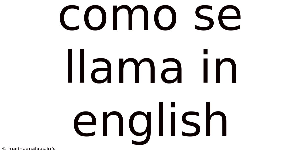 Como Se Llama In English
