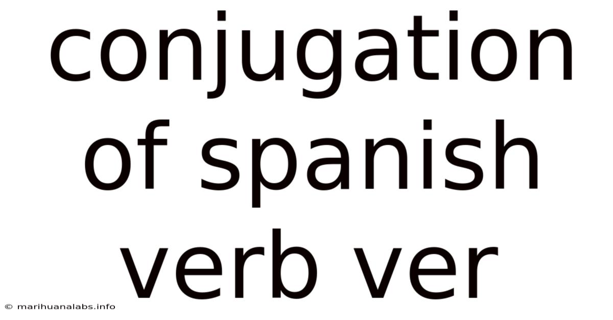 Conjugation Of Spanish Verb Ver