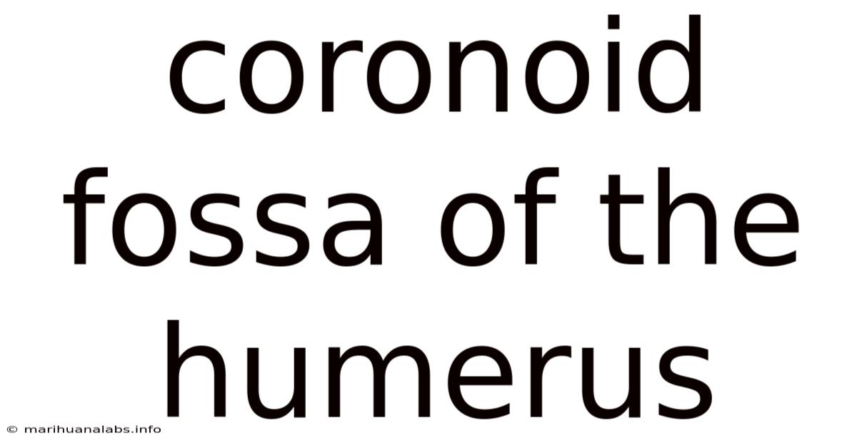 Coronoid Fossa Of The Humerus