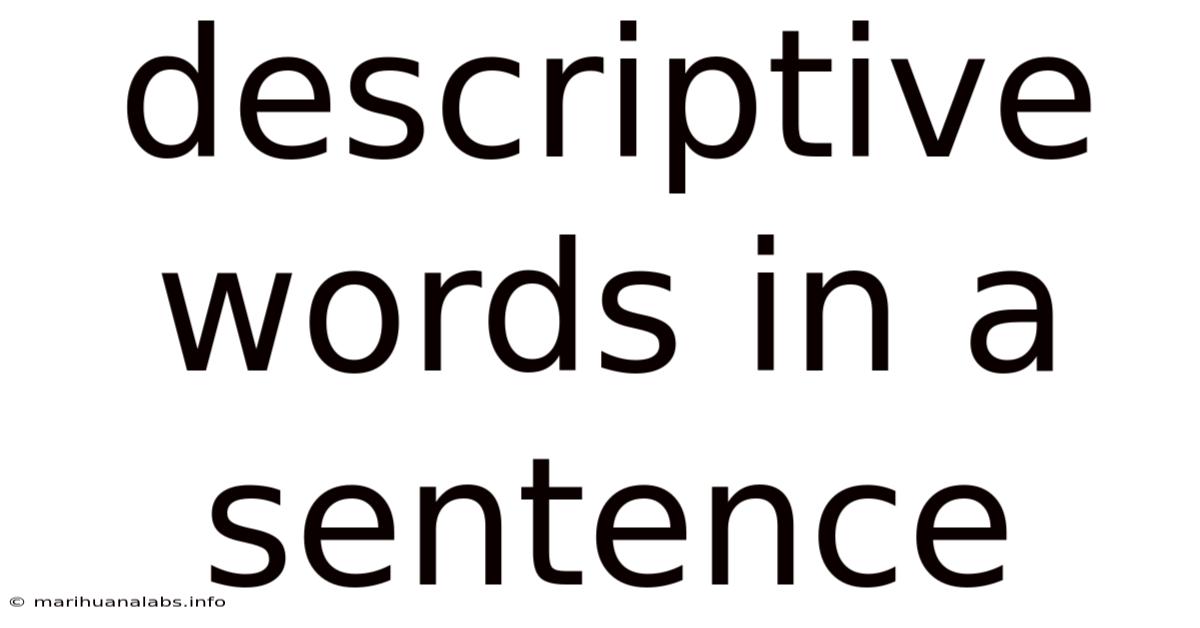 Descriptive Words In A Sentence