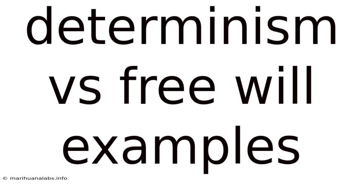 Determinism Vs Free Will Examples