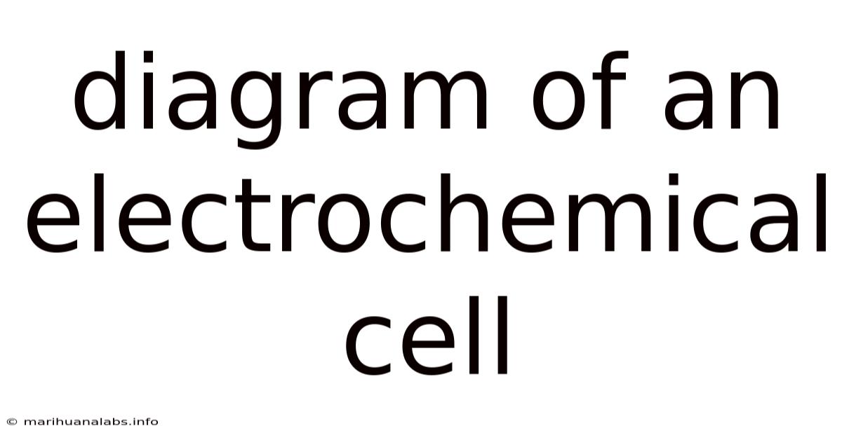 Diagram Of An Electrochemical Cell