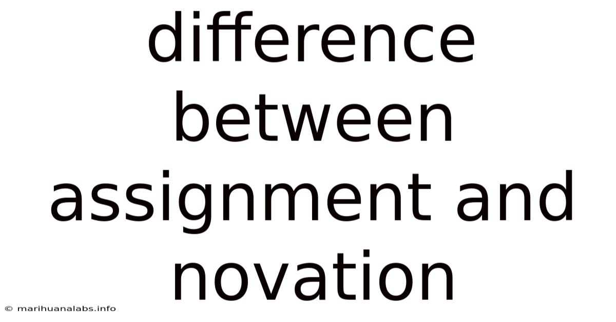 Difference Between Assignment And Novation