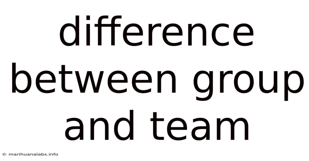 Difference Between Group And Team