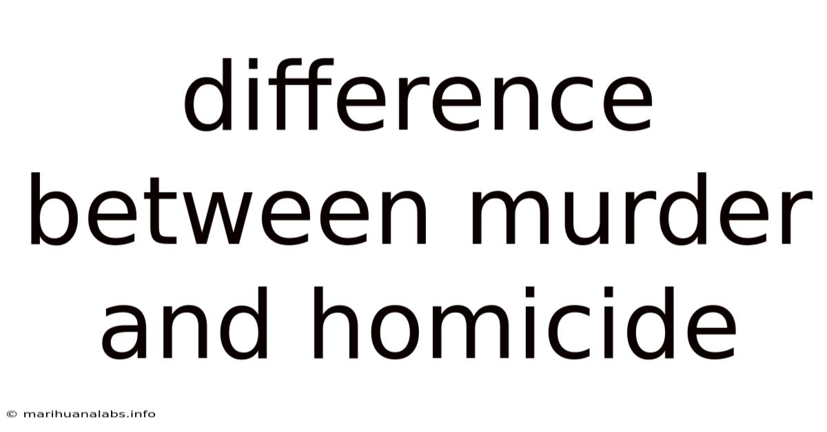 Difference Between Murder And Homicide