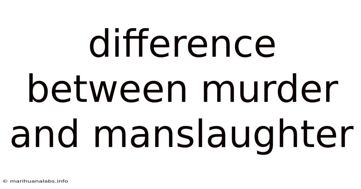 Difference Between Murder And Manslaughter