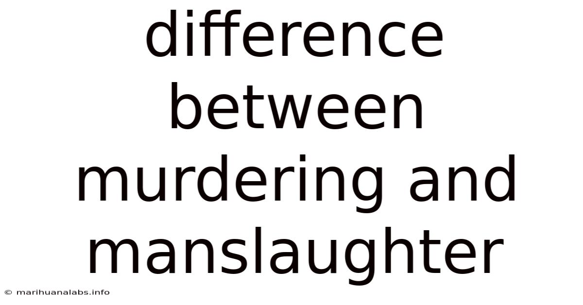 Difference Between Murdering And Manslaughter
