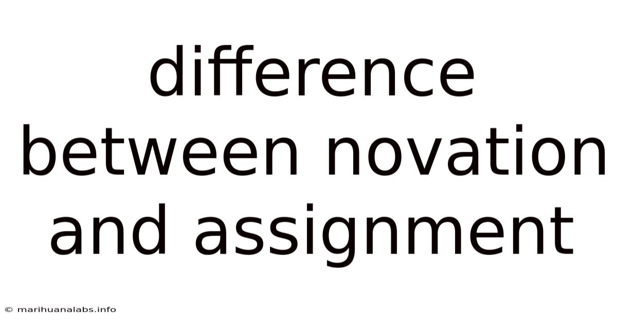 Difference Between Novation And Assignment