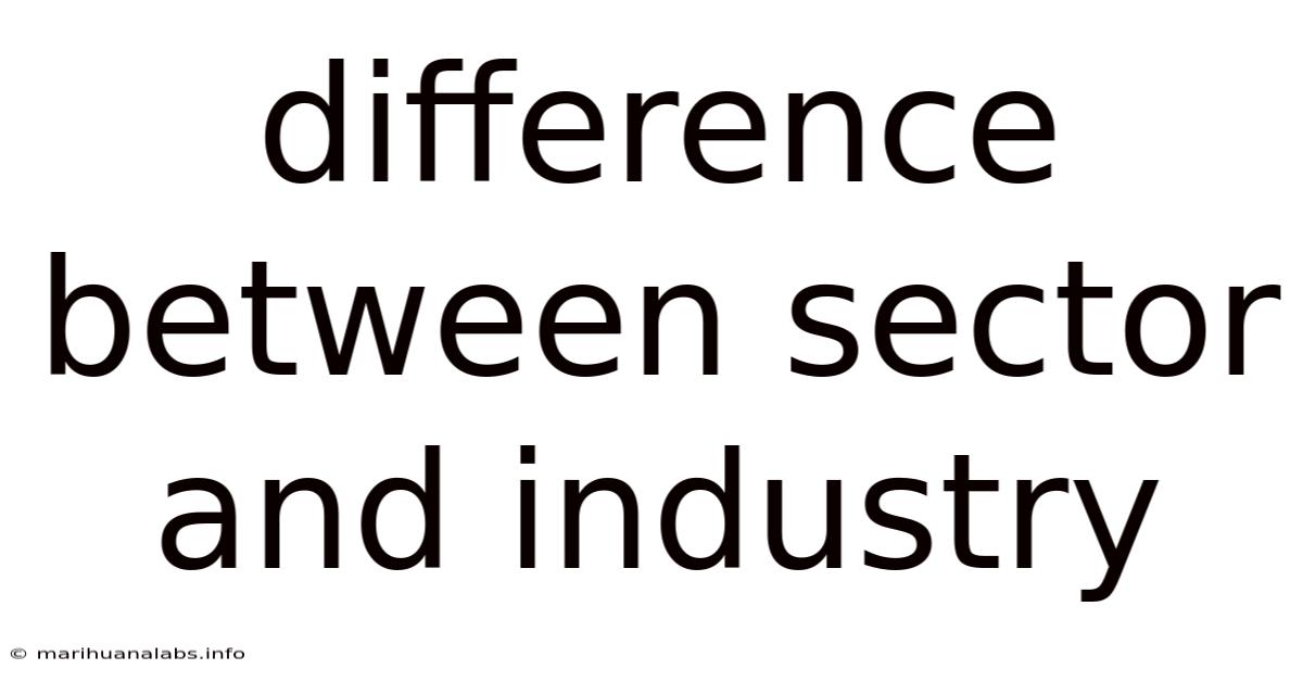 Difference Between Sector And Industry