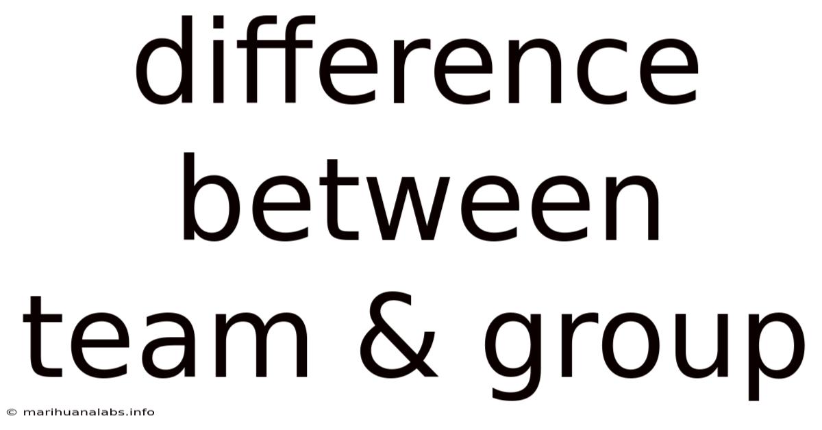 Difference Between Team & Group