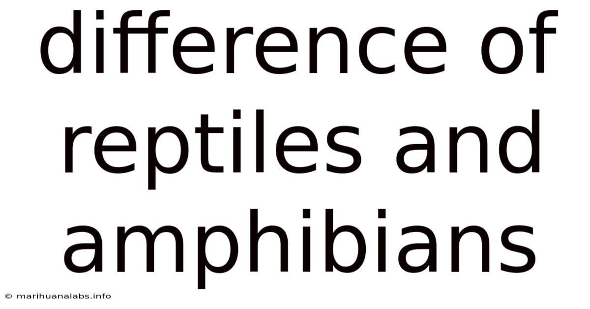 Difference Of Reptiles And Amphibians