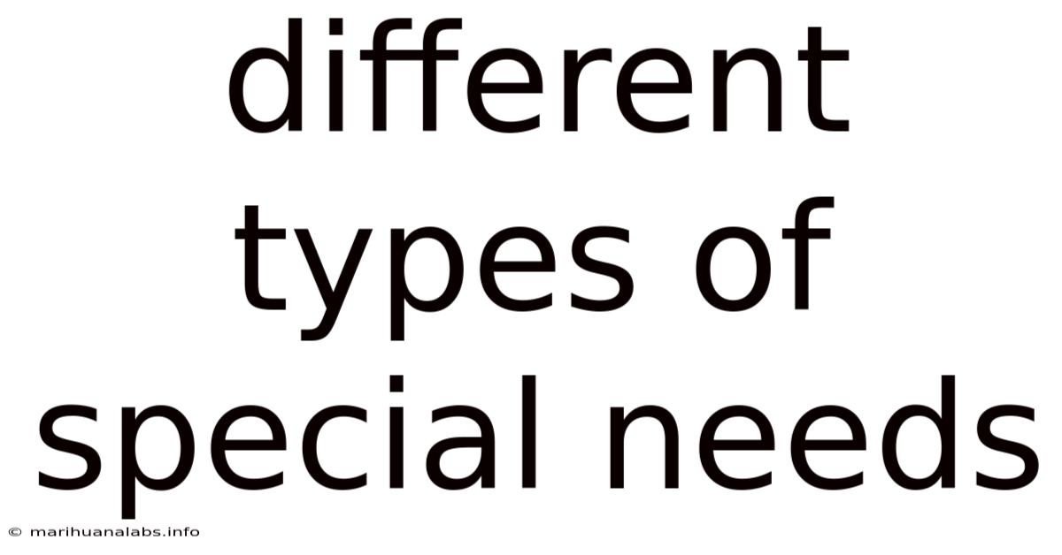 Different Types Of Special Needs