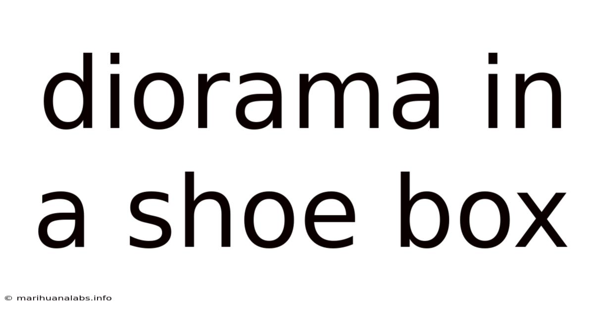 Diorama In A Shoe Box