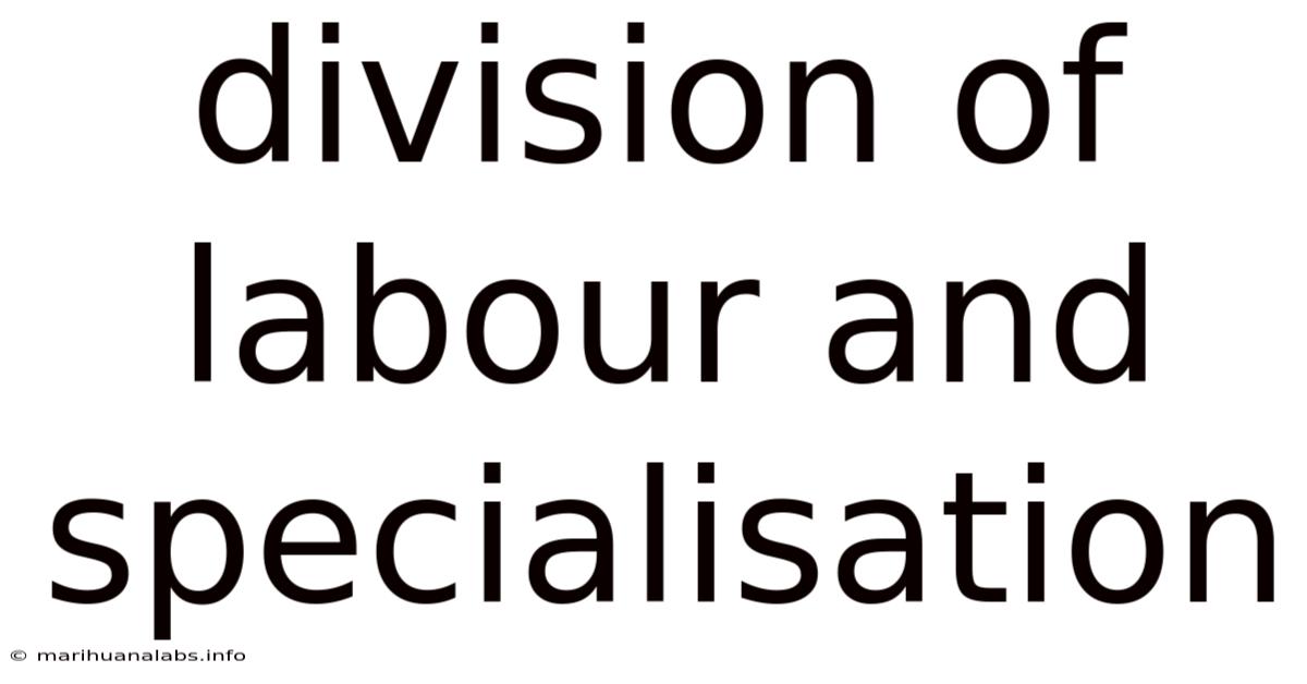 Division Of Labour And Specialisation