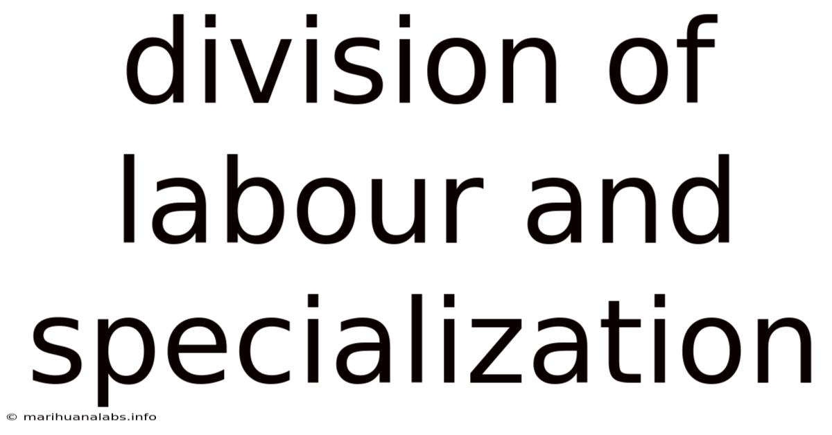 Division Of Labour And Specialization