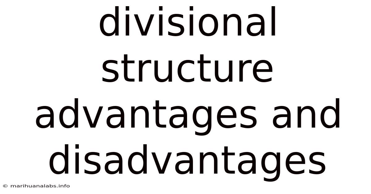 Divisional Structure Advantages And Disadvantages