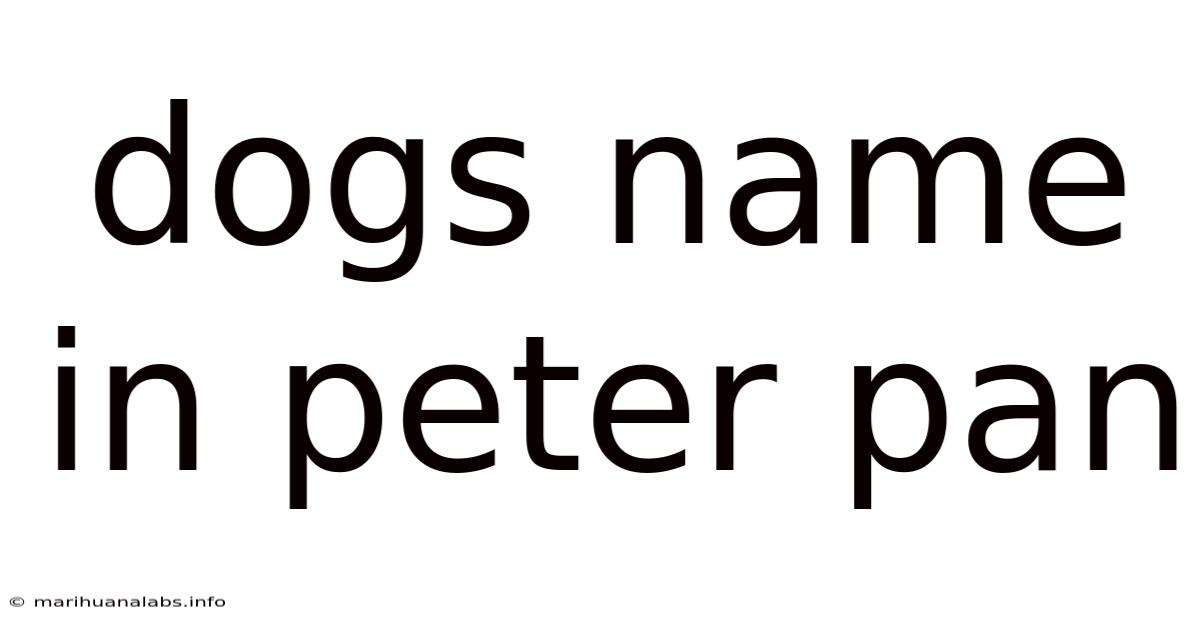 Dogs Name In Peter Pan