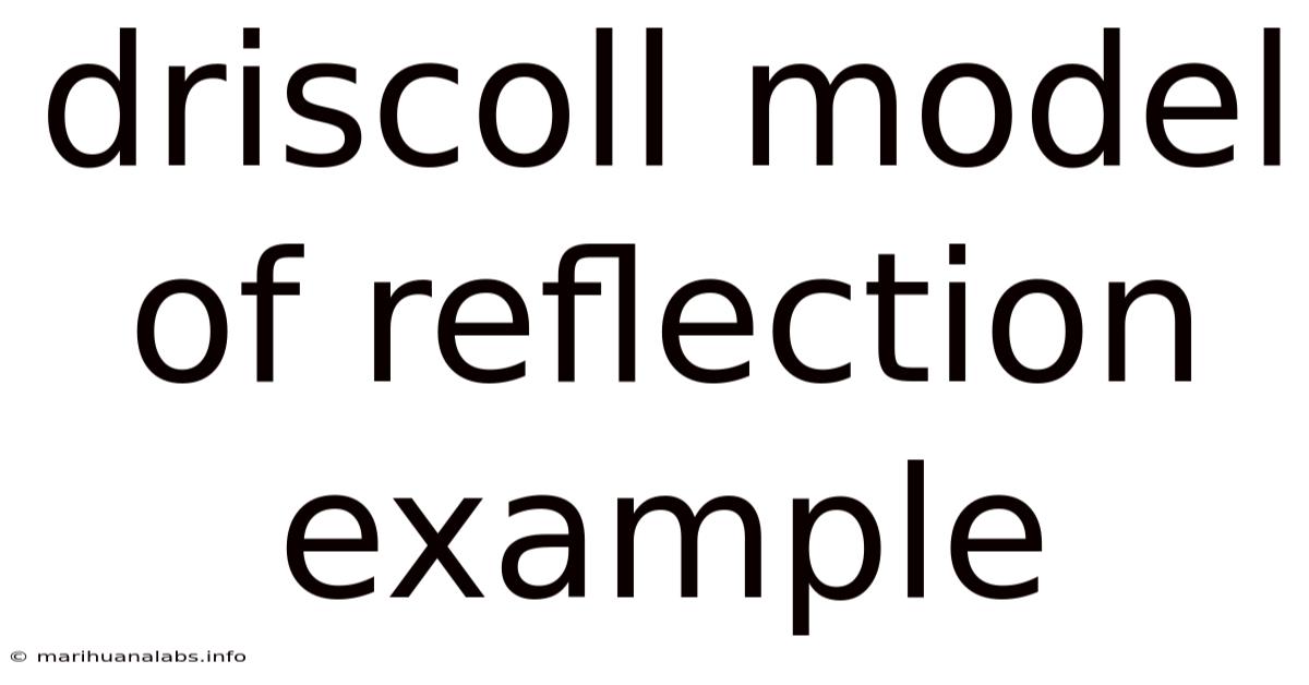 Driscoll Model Of Reflection Example