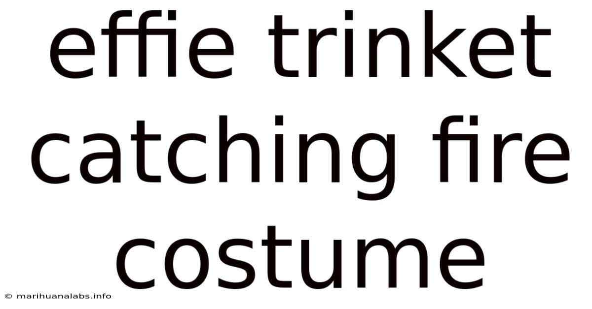 Effie Trinket Catching Fire Costume