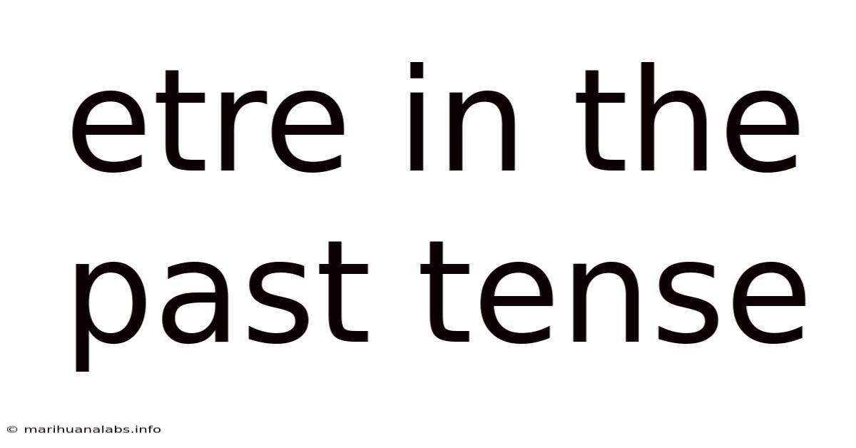 Etre In The Past Tense