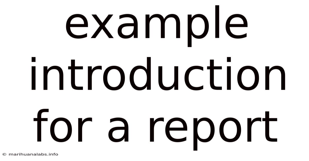 Example Introduction For A Report