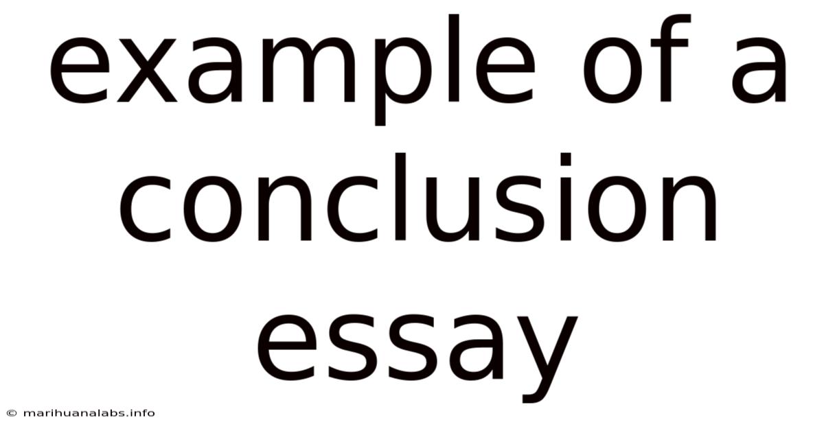 Example Of A Conclusion Essay