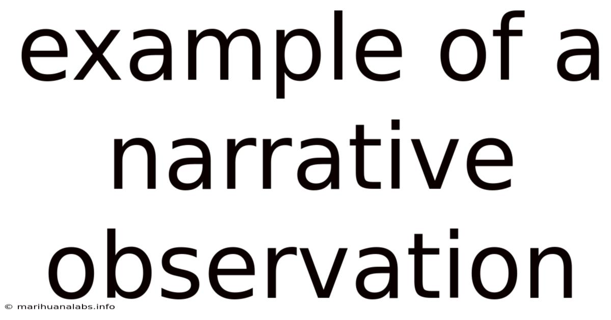 Example Of A Narrative Observation