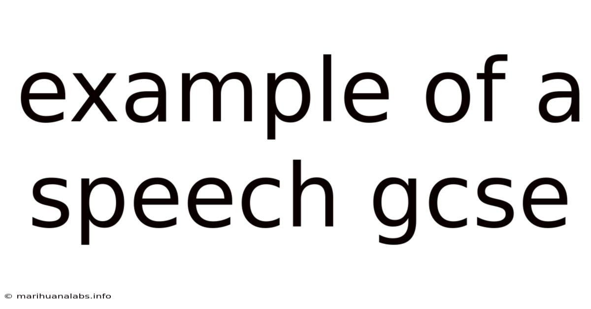 Example Of A Speech Gcse