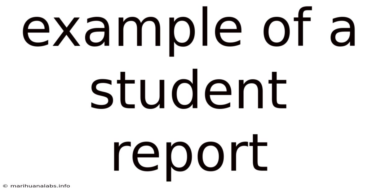 Example Of A Student Report