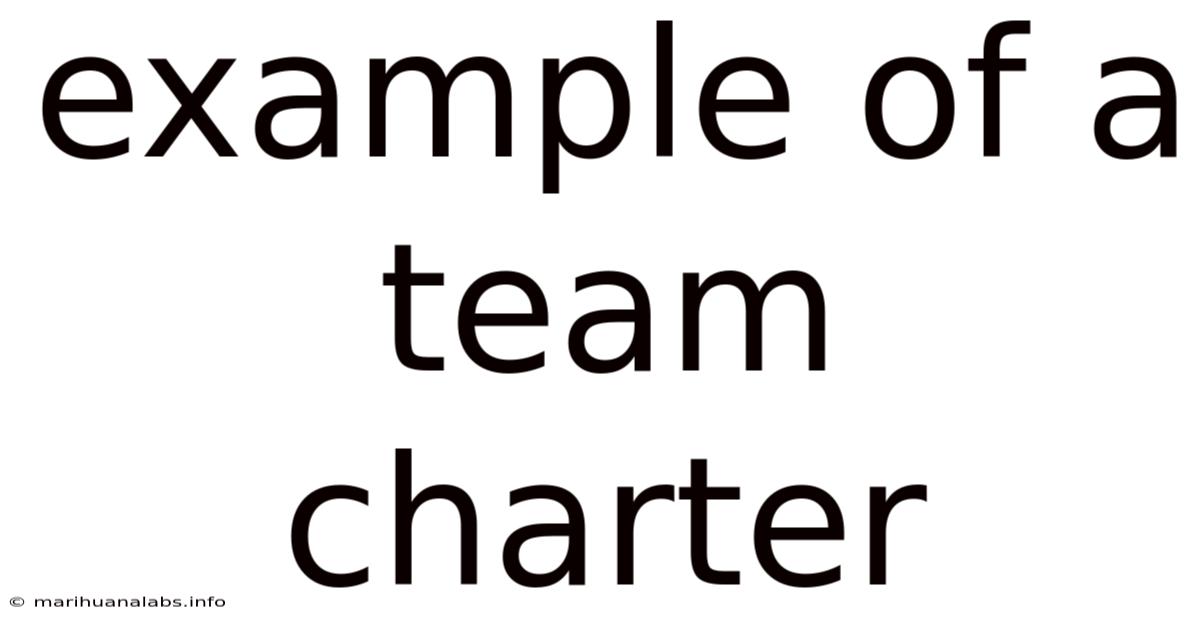 Example Of A Team Charter