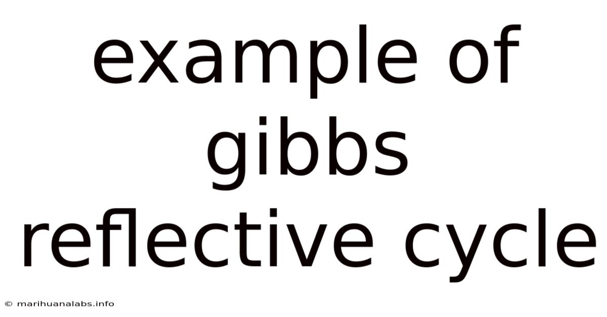 Example Of Gibbs Reflective Cycle