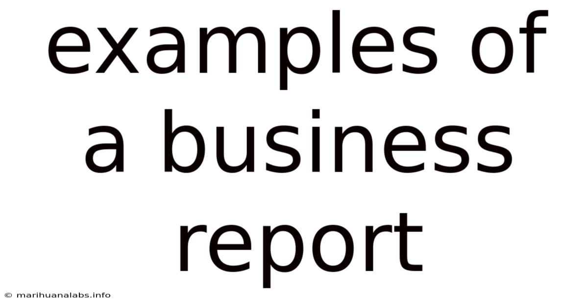 Examples Of A Business Report