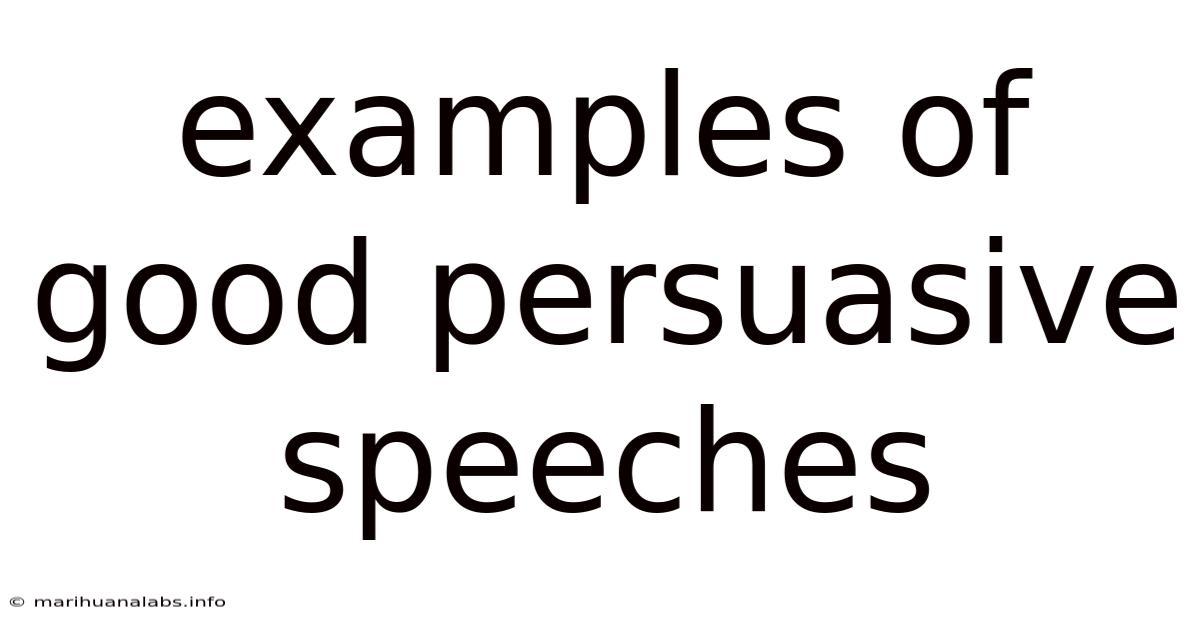 Examples Of Good Persuasive Speeches