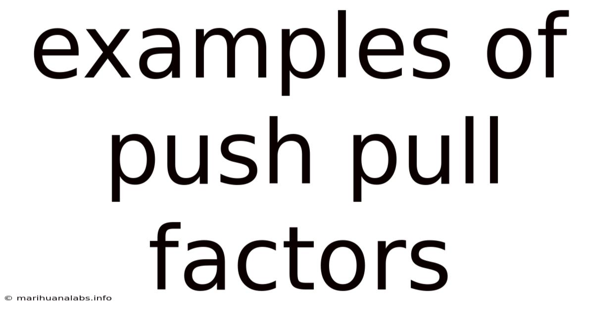 Examples Of Push Pull Factors