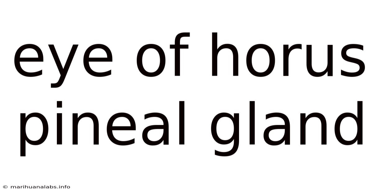 Eye Of Horus Pineal Gland