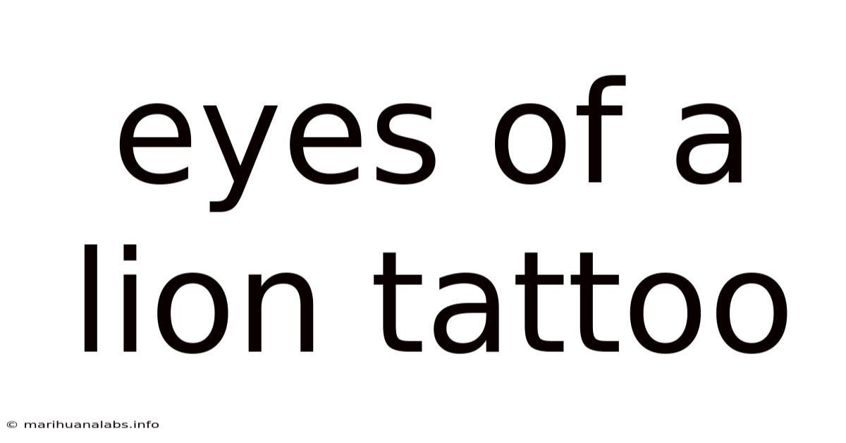 Eyes Of A Lion Tattoo