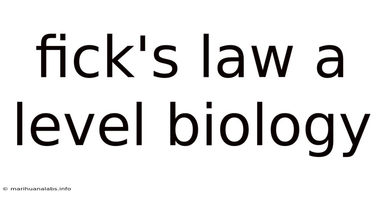 Fick's Law A Level Biology