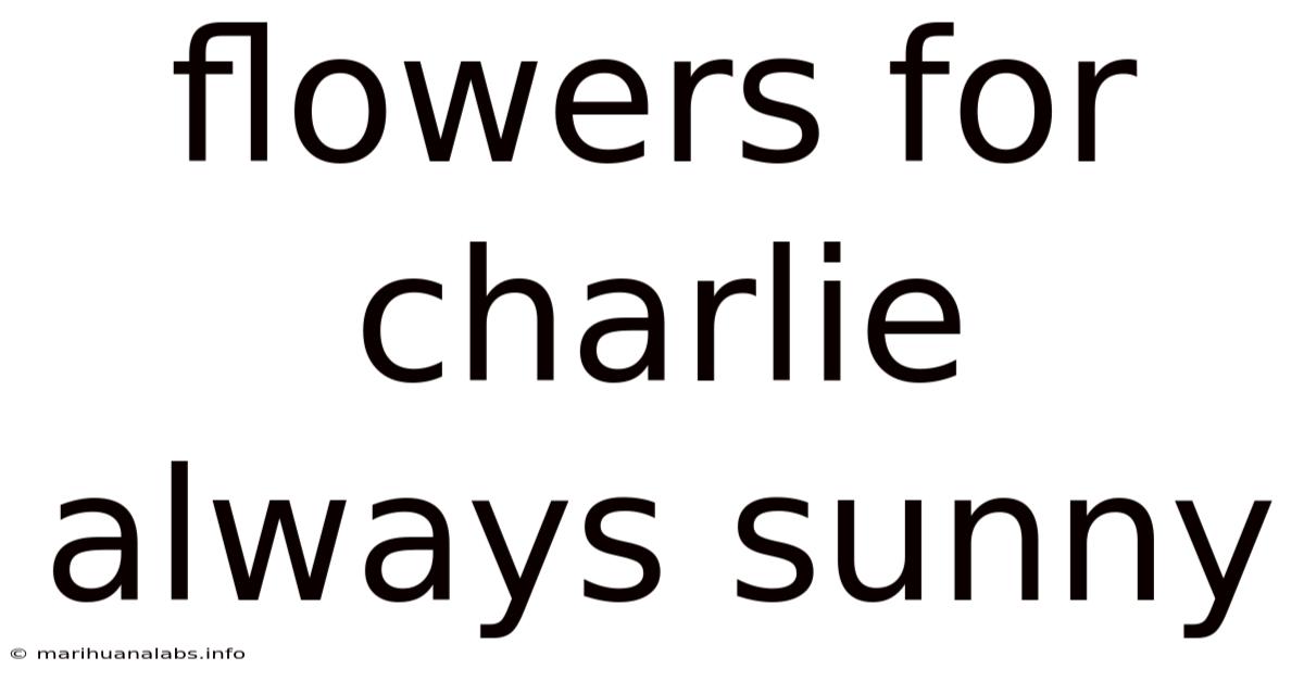 Flowers For Charlie Always Sunny