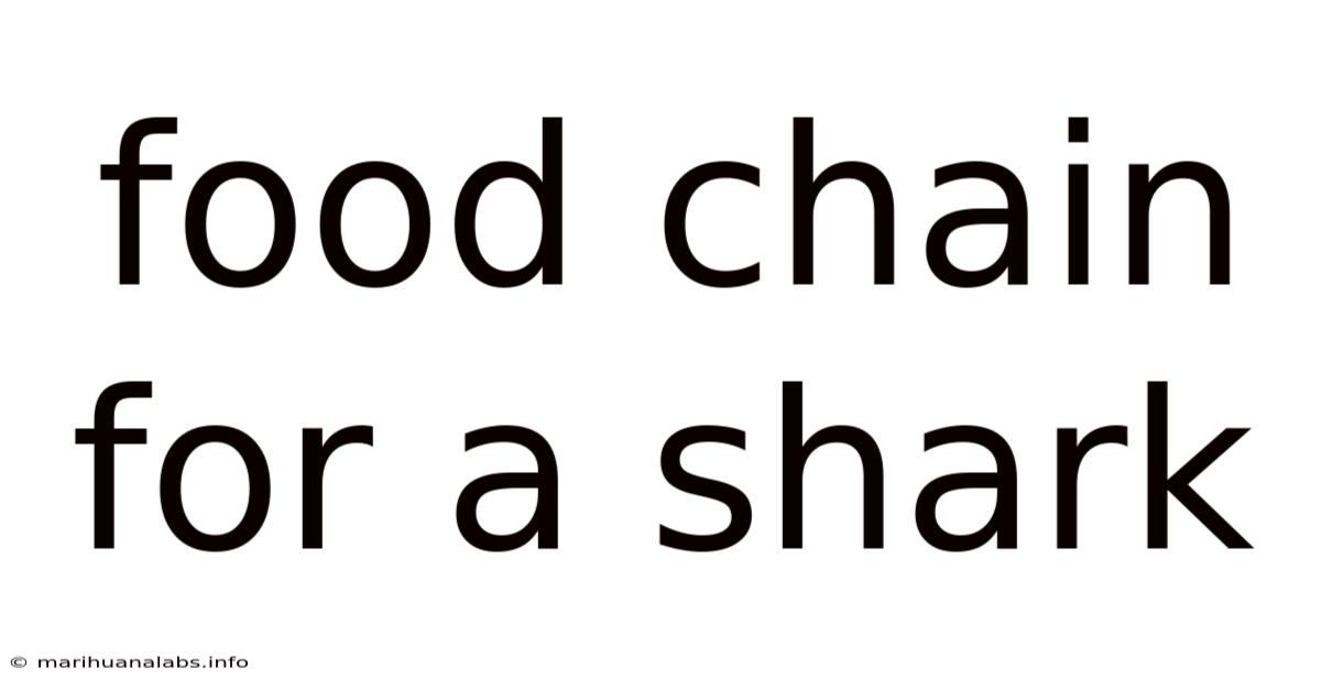 Food Chain For A Shark