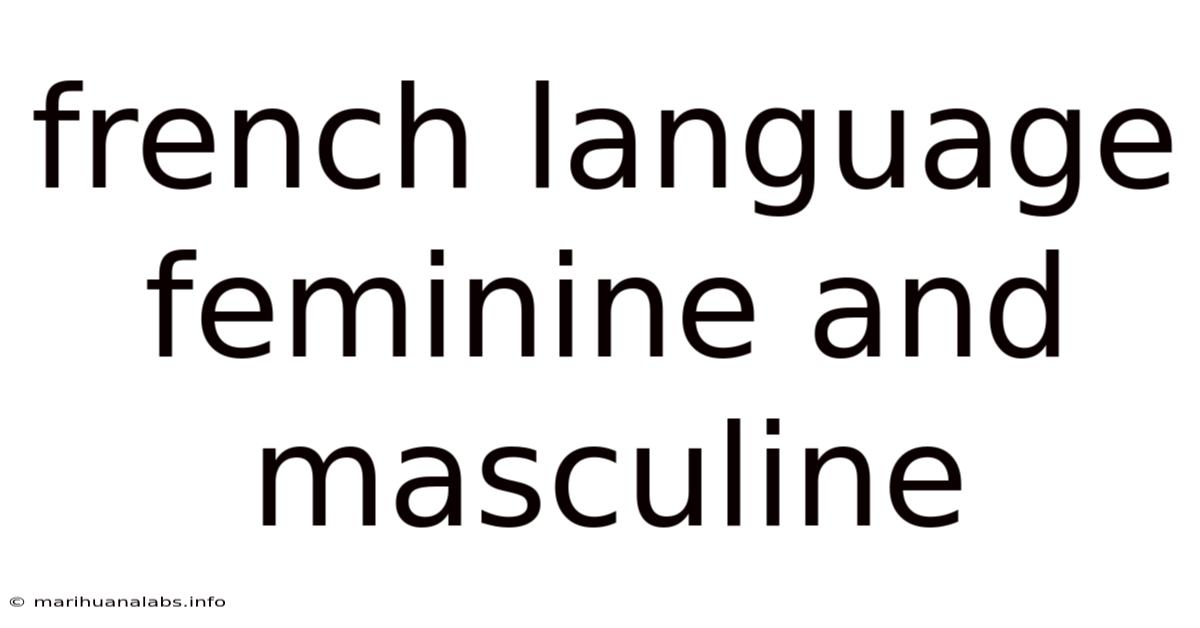 French Language Feminine And Masculine