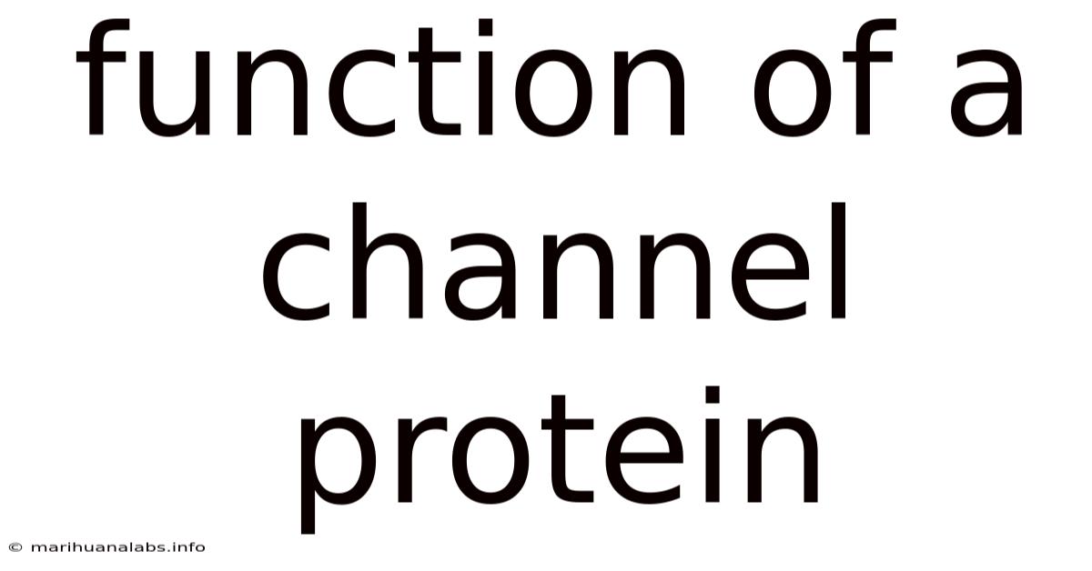 Function Of A Channel Protein