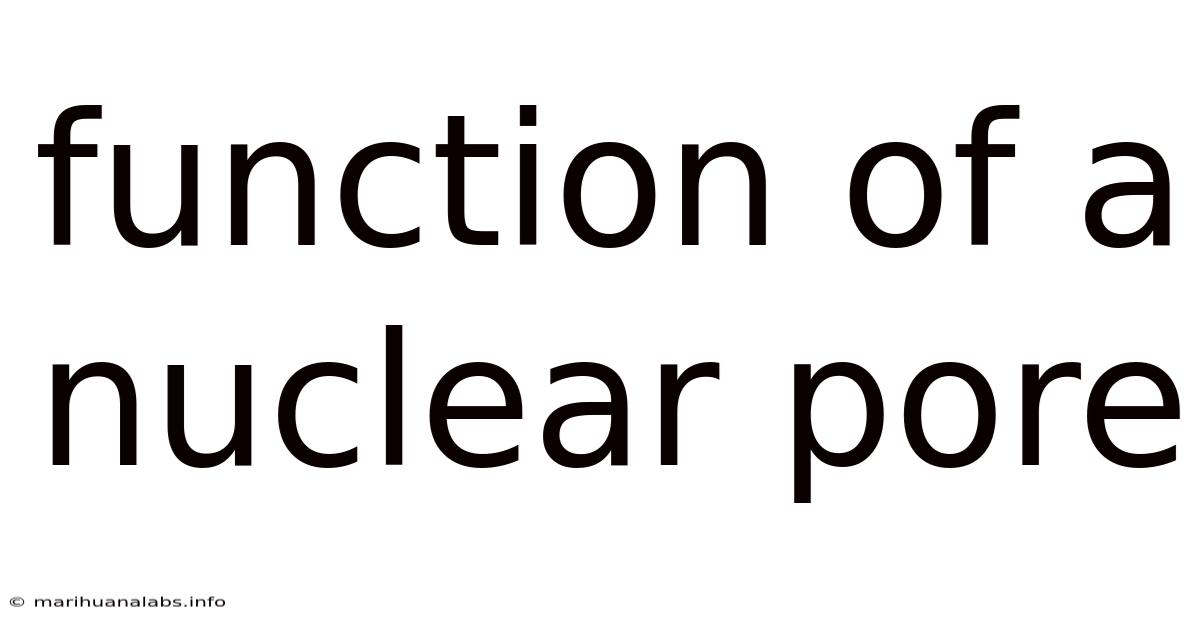 Function Of A Nuclear Pore